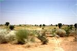 a_road to bikaner